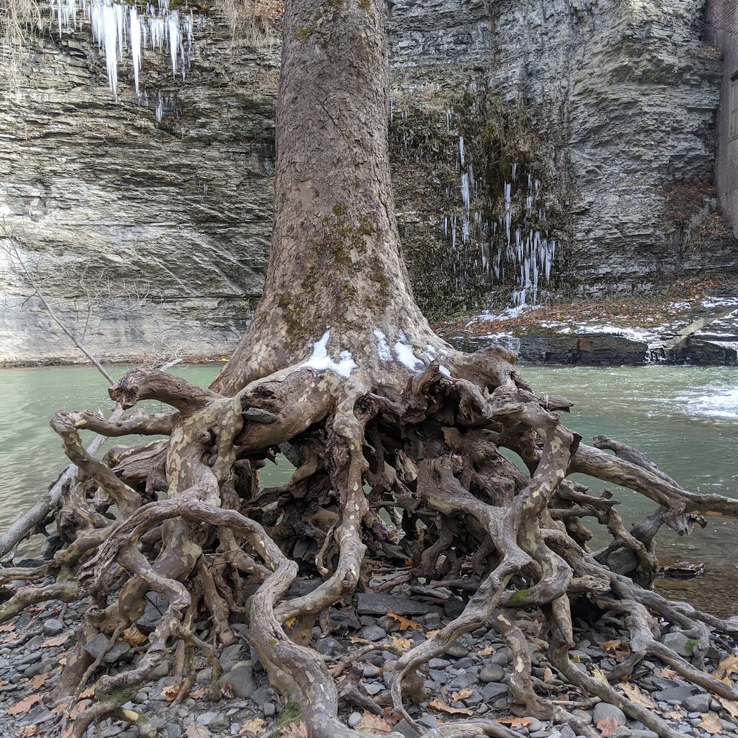 Wells Falls 2