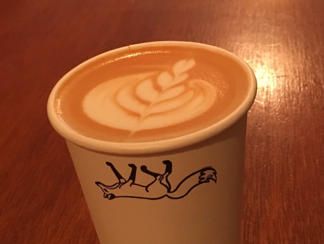 Odd Fox Coffee 3