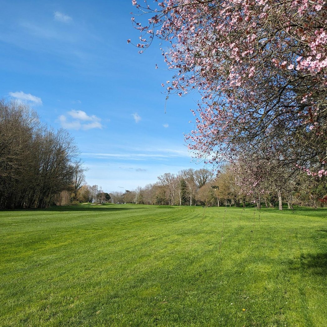 Anjou Golf & Country Club : Restaurant, Receptions, Mariages et Seminaires d'Entreprises 2