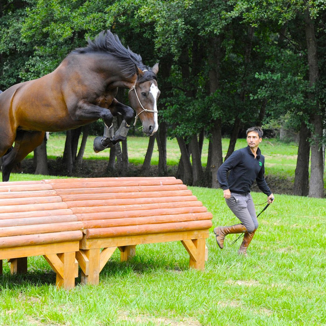 Stud De La Cense 3