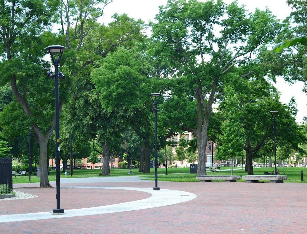 Cambridge Common 2