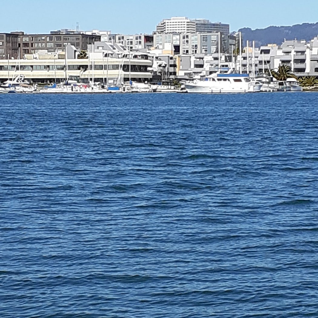 Marina Village Pkwy 3
