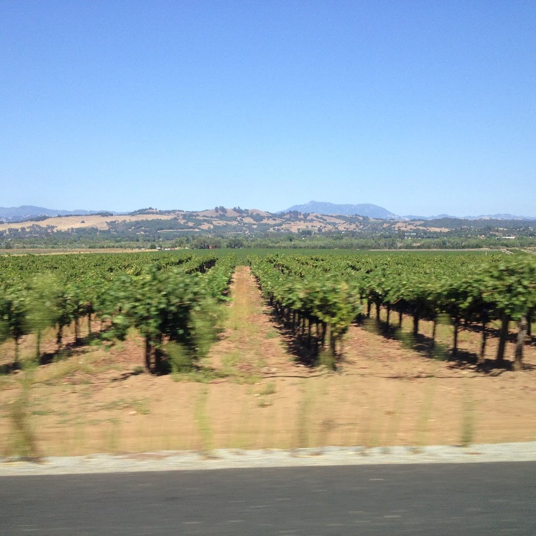 Wine Country 1