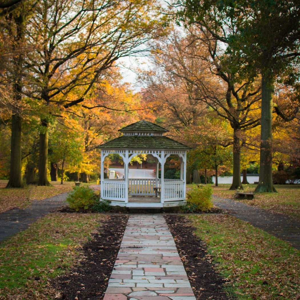 Central Park 1