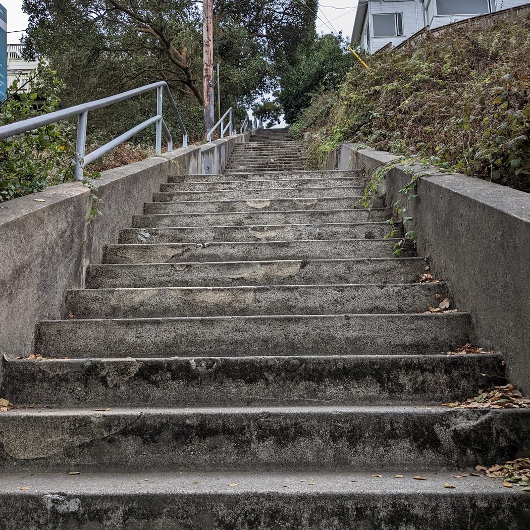 15th Avenue Steps 3