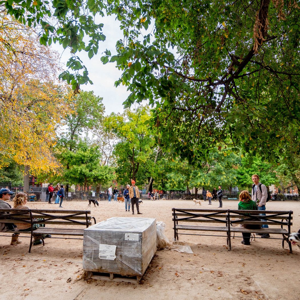 Tompkins Square Dog Run 2