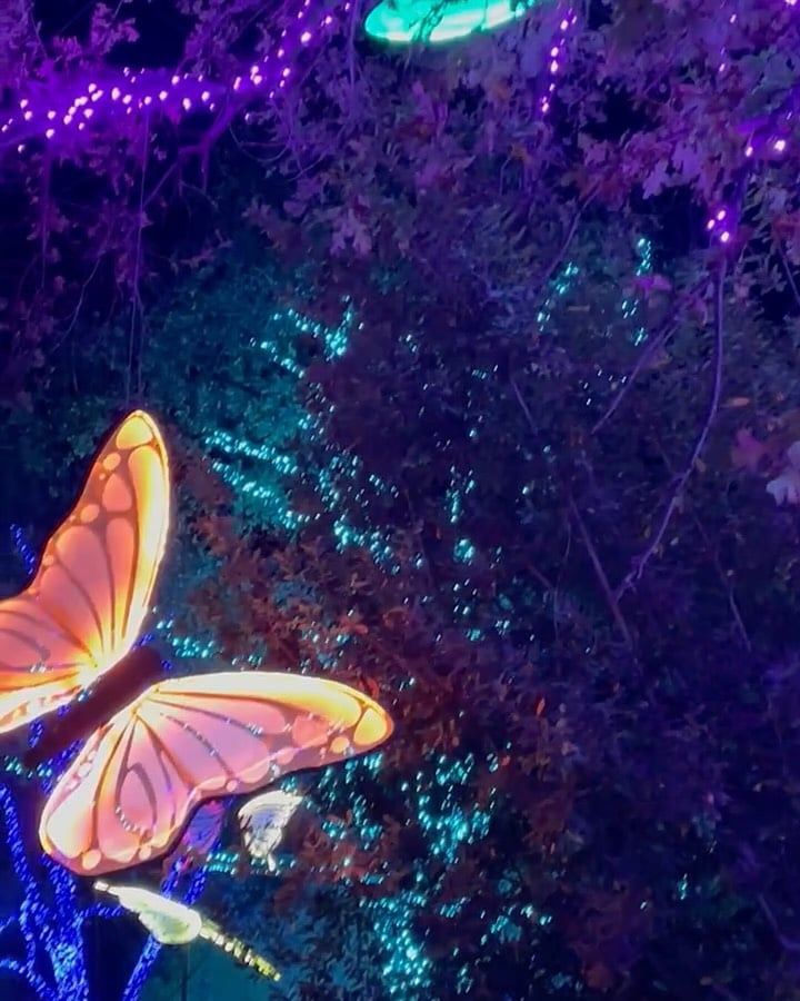 Redding Garden of Lights 2