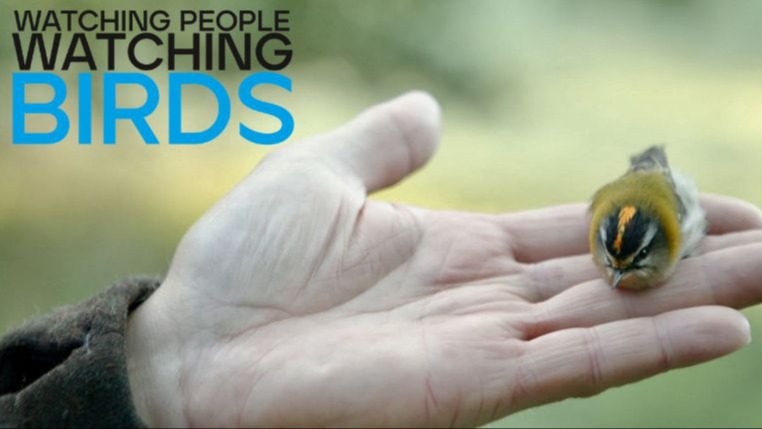 FILMPREMIERE: Dokumentarfilm WATCHING PEOPLE WATCHING BIRDS mit Gästen