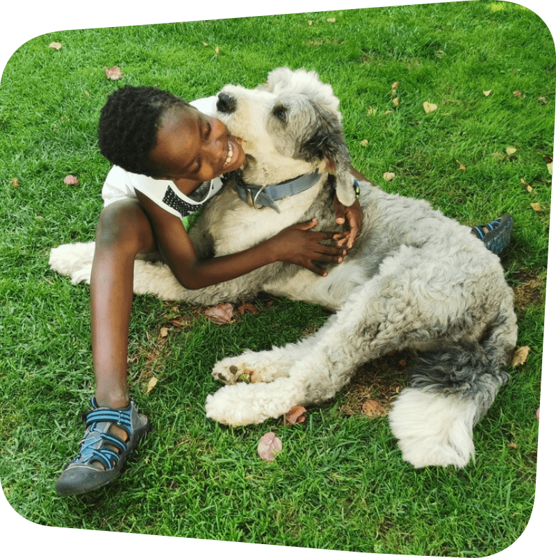Therapy Dogs from Luv on a Leash 1