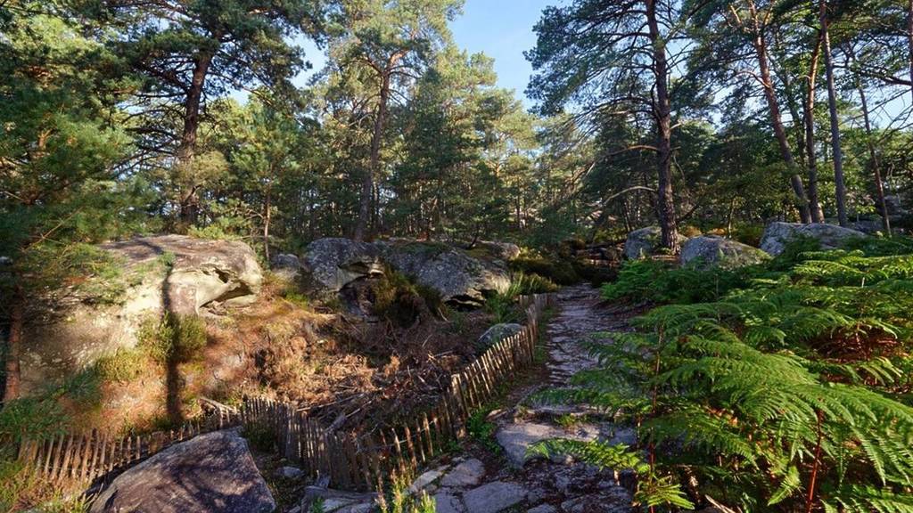 Sentier des Gorges de Franchard 1