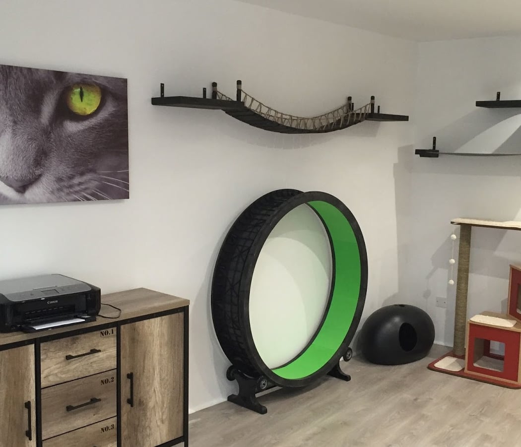 Le Loft des Chats 2