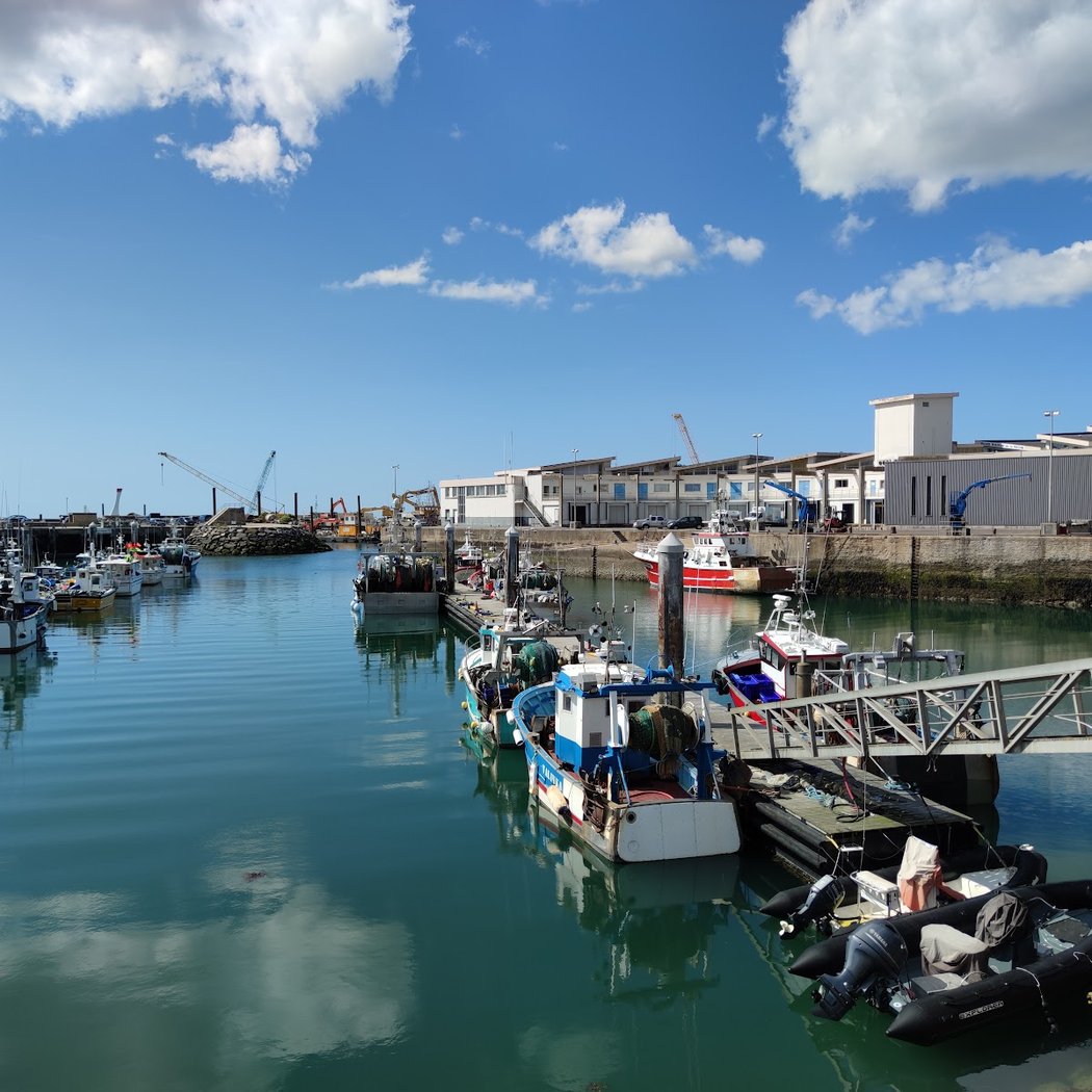 Atelier : guirlande de la mer 2