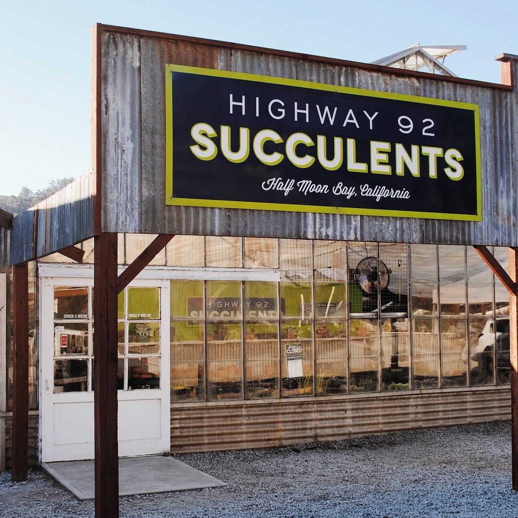 Highway 92 Succulents 2