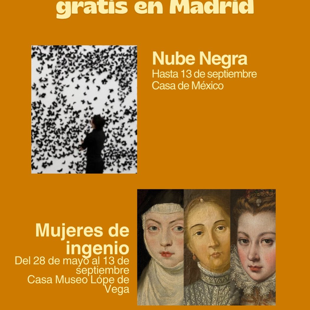 Mujeres de ingenio 1