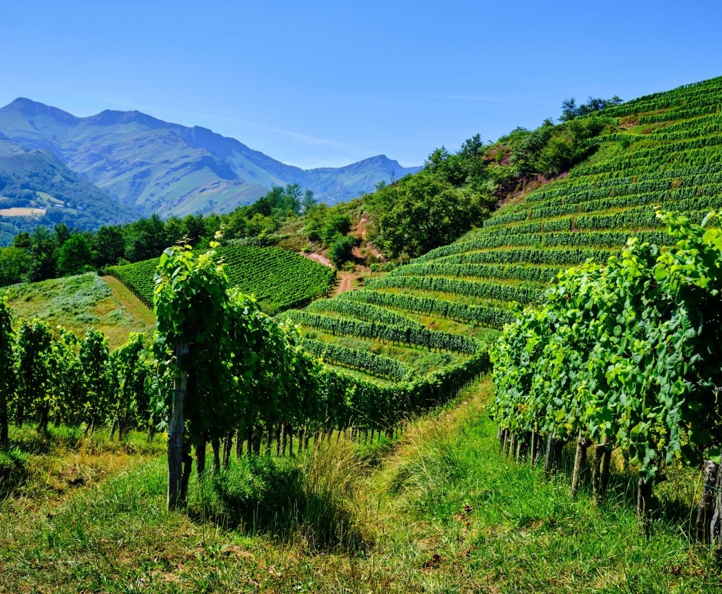 Domaine Ameztia 1