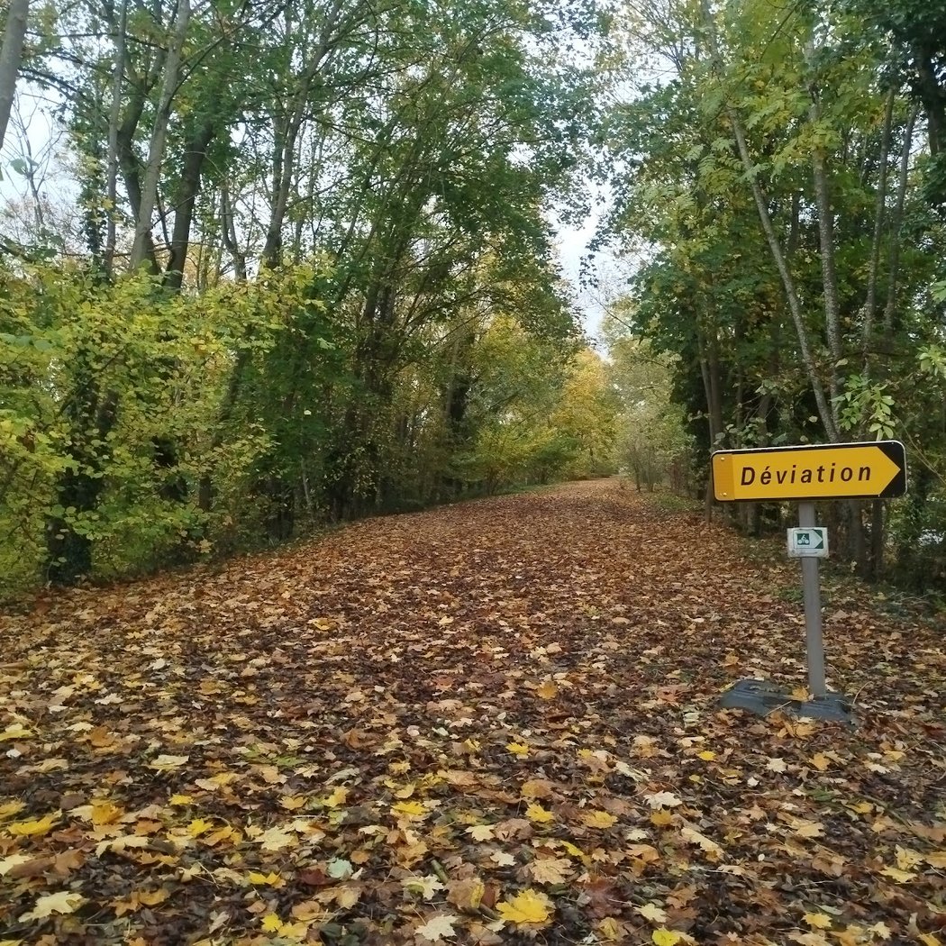 Ciclofaixa 2