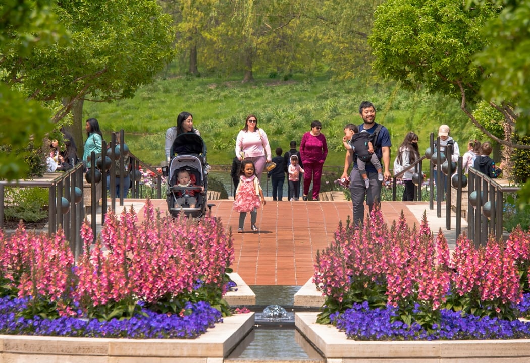 Chicago Botanic Garden 4