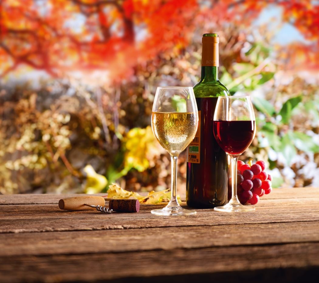 Menu spécial Beaujolais nouveau 1
