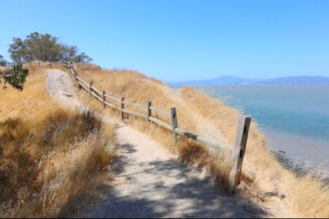 Point Pinole Regional Shoreline 2