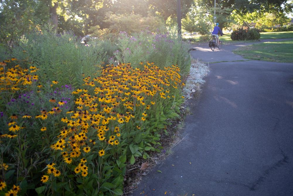 Central Park 3