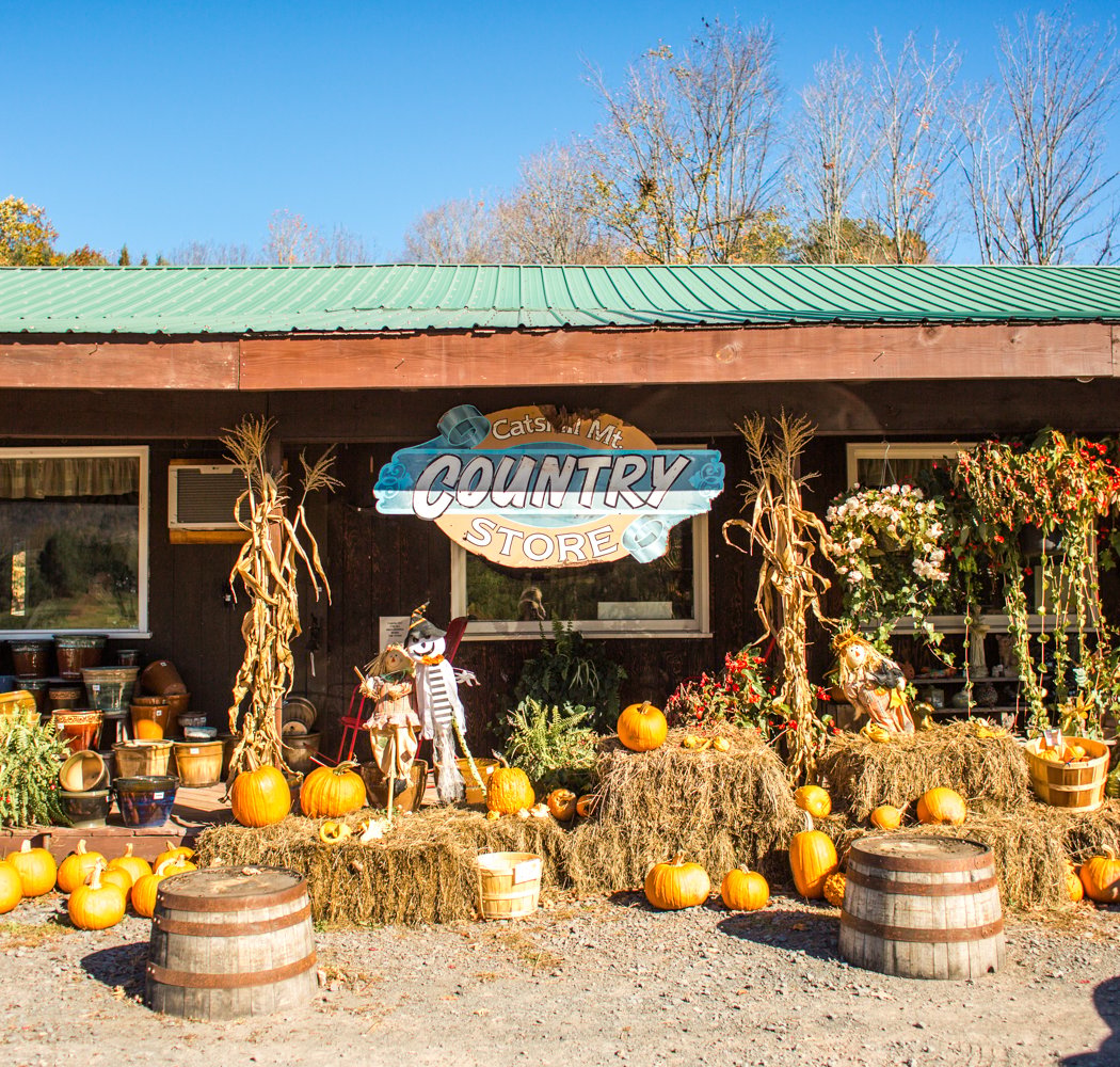 Catskill Mountain Country Store & Restaurant-Windham 2
