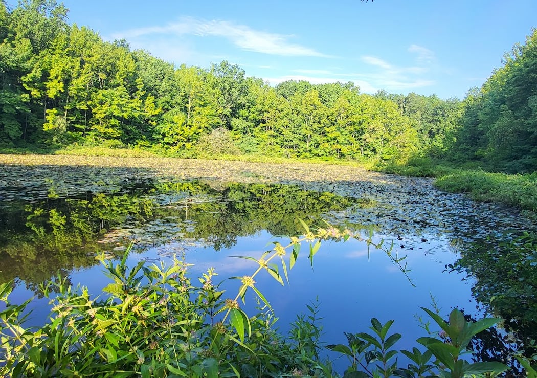 Blue Heron Park Nature Center 1