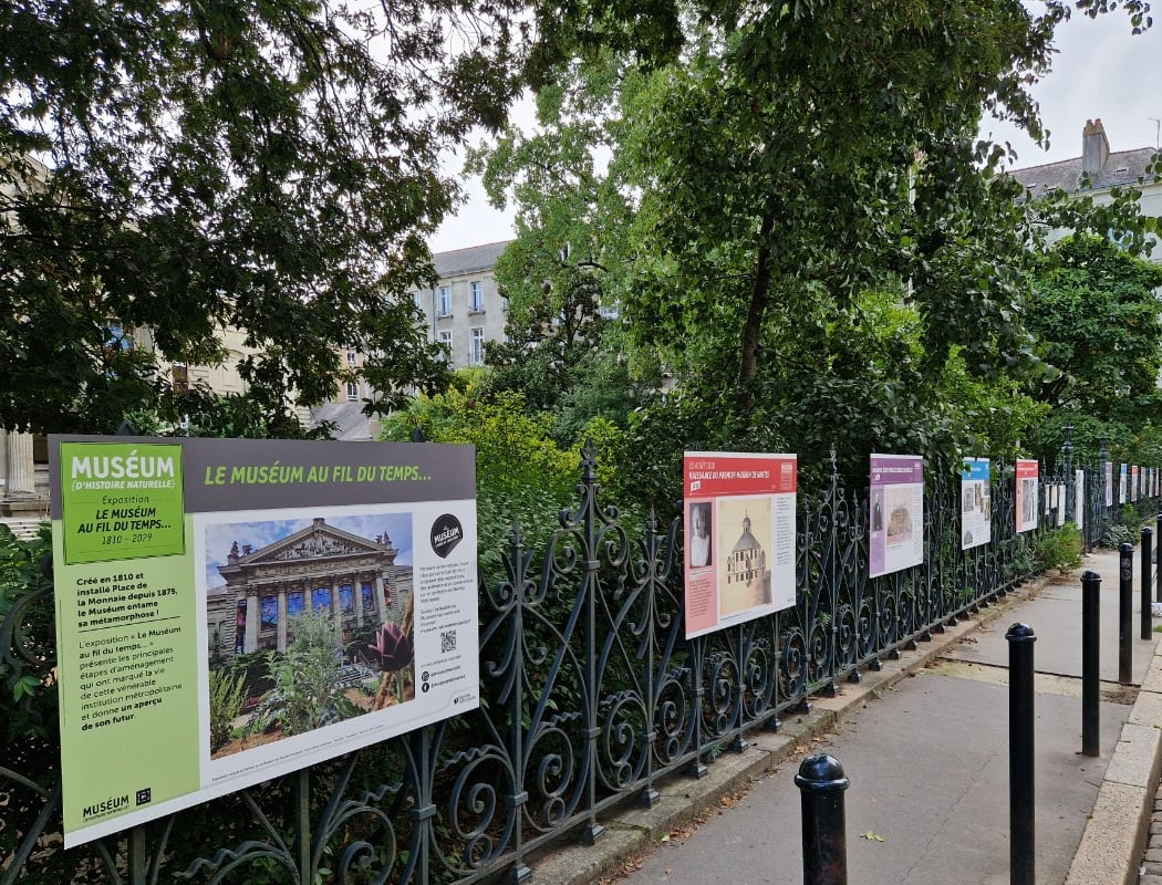 Le Muséum au fil du temps