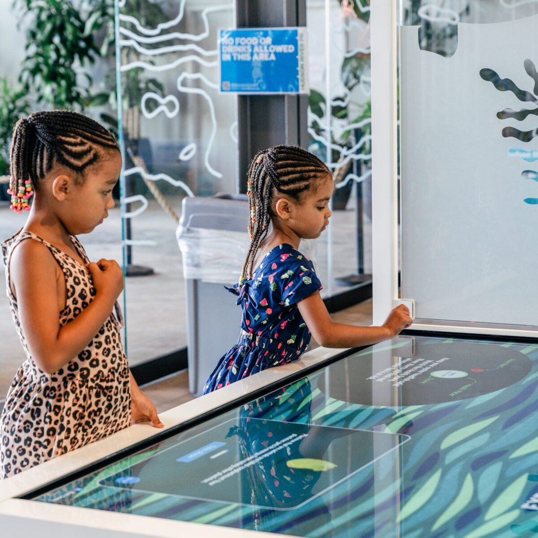 Guided Gallery in Discovery Tank 1