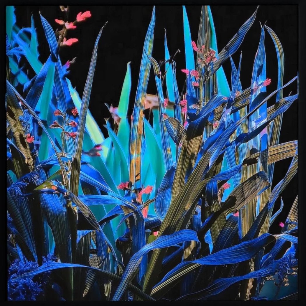 Surface/Signal - Opening Reception 1