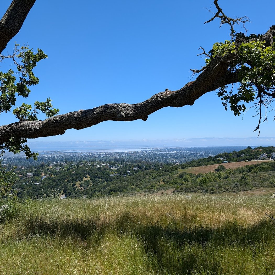 Vista Point | Edgewood Park 3