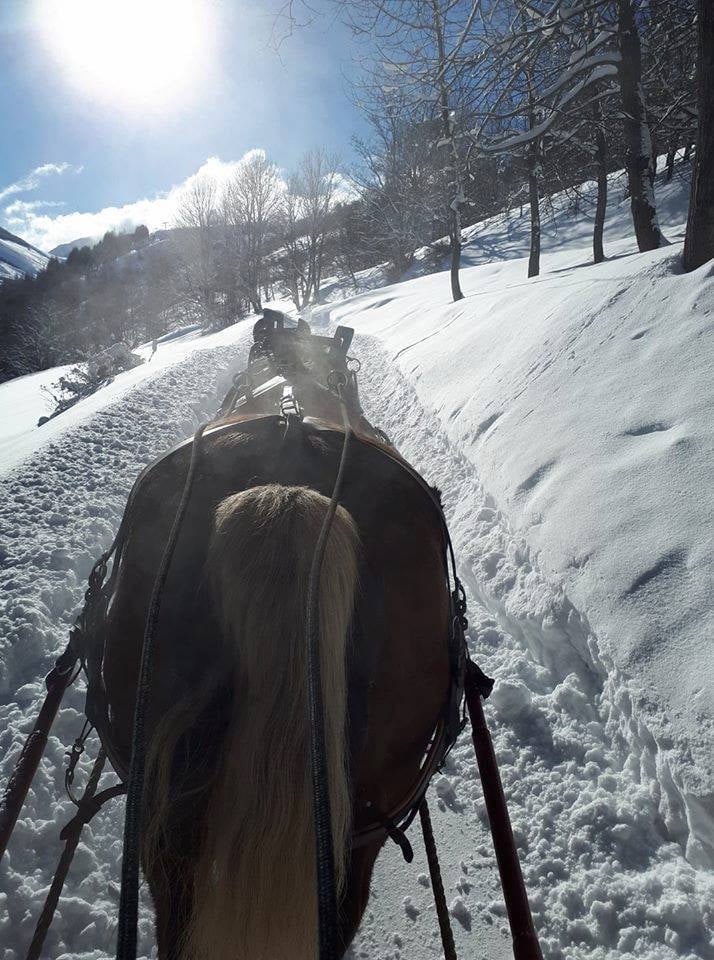 Promenade en traineau a cheval 2 alpes 2
