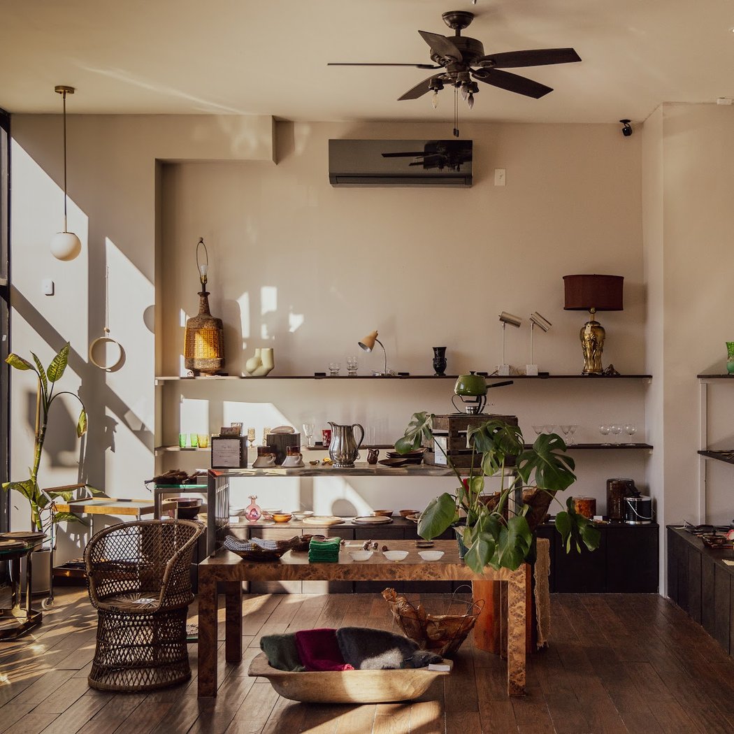 Again Vintage (home to SUBLIME Coffee & Plant Potions) 2