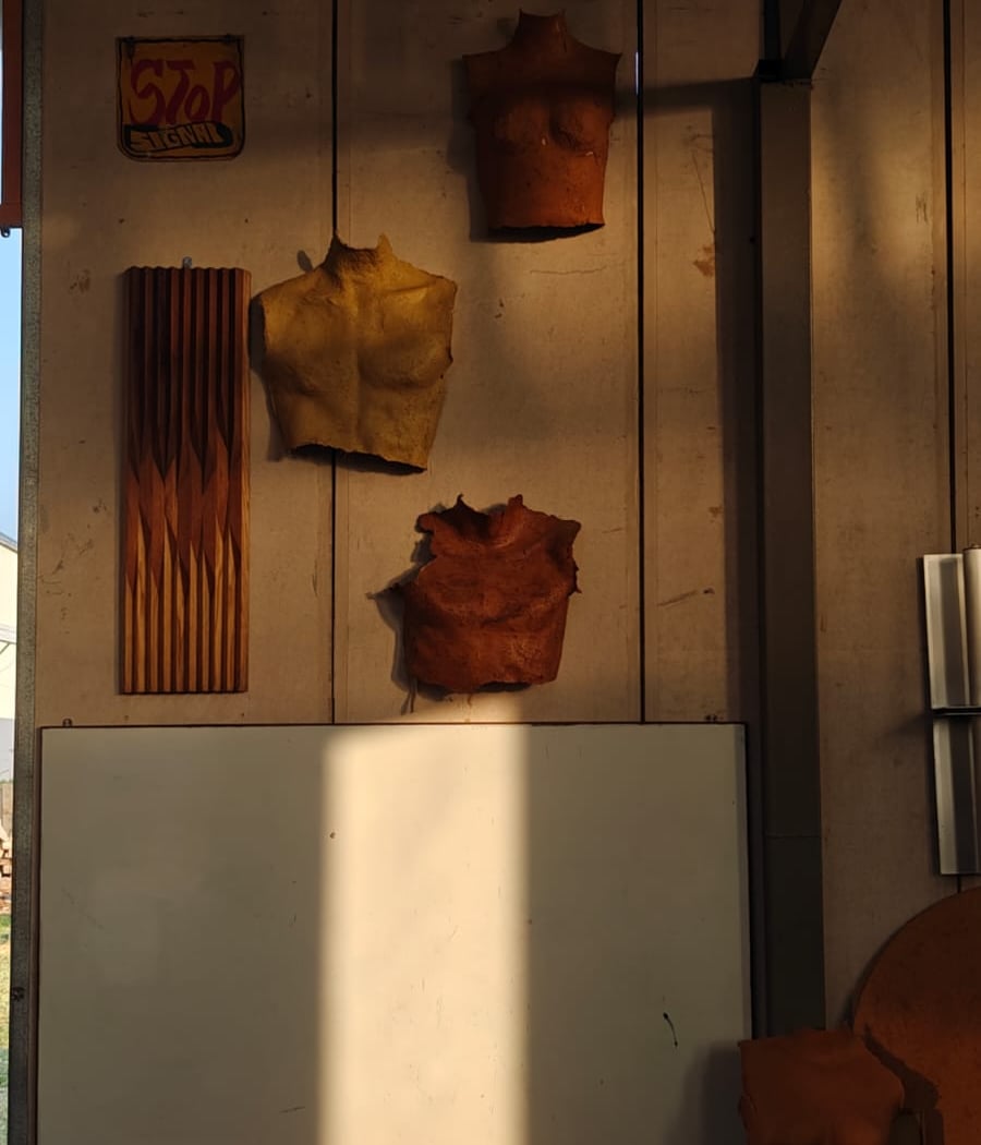 The Vernacular Modern 3