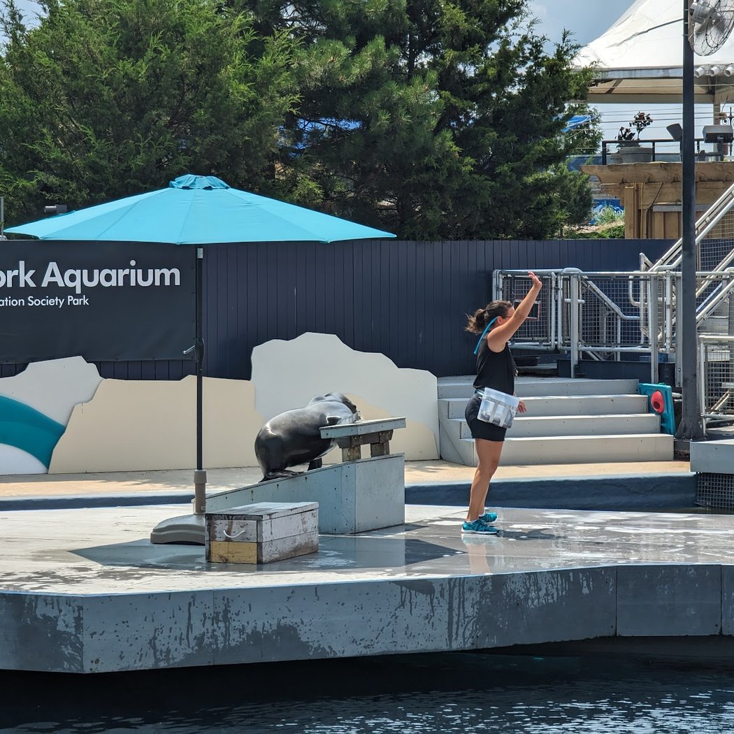 New York Aquarium Education Department 3
