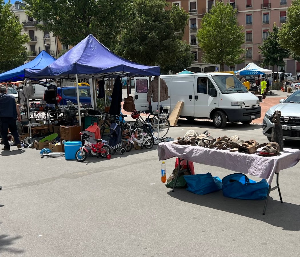 Marché aux Puces de Plainpalais 2
