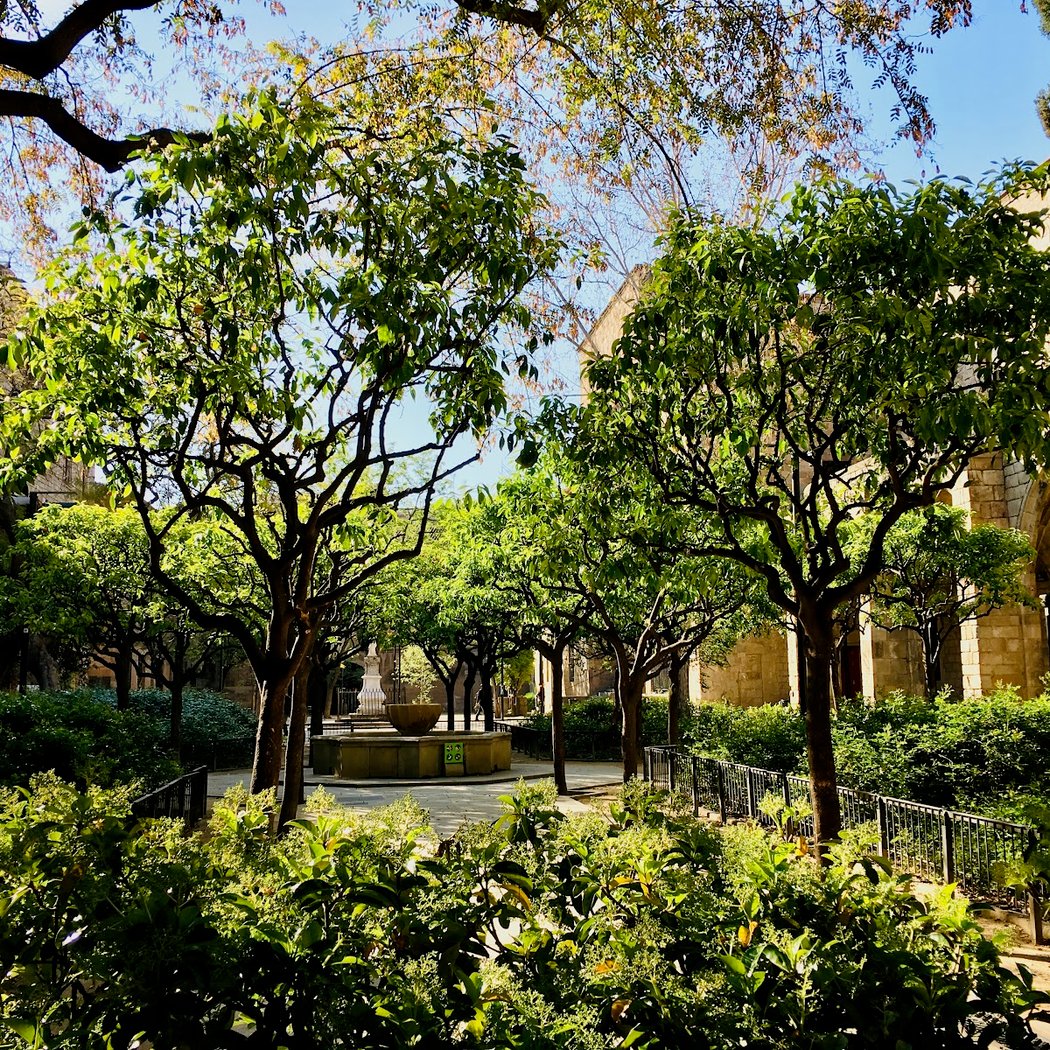 Jardins de Rubió i Lluch 1