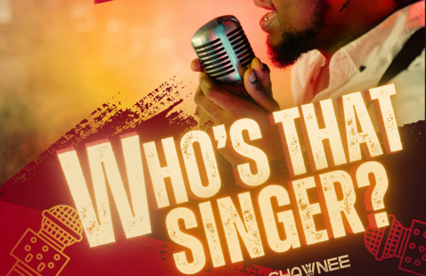 Who's That Singer 2