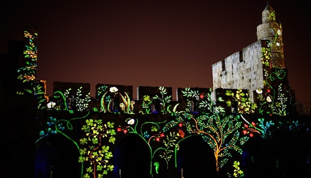 King David Light Show 1
