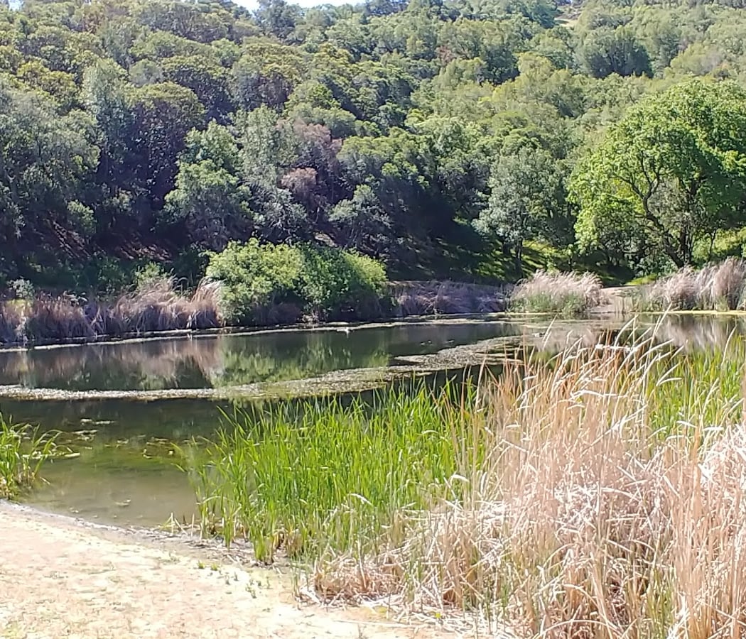Indian Valley Preserve 3