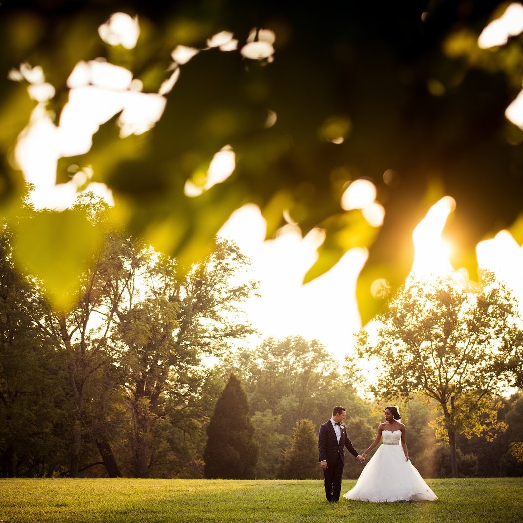 Susan Stripling Photography 3