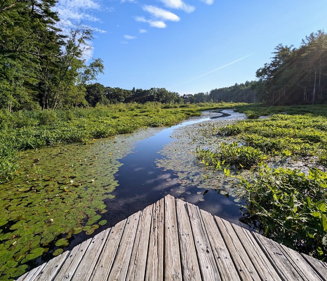 Mass Audubon's Broadmoor Wildlife Sanctuary 1