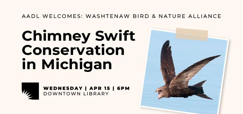 Chimney Swift Conservation in Michigan 1
