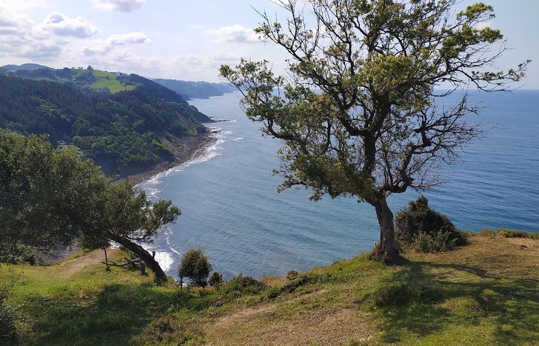 Acantilados del Flysch 3