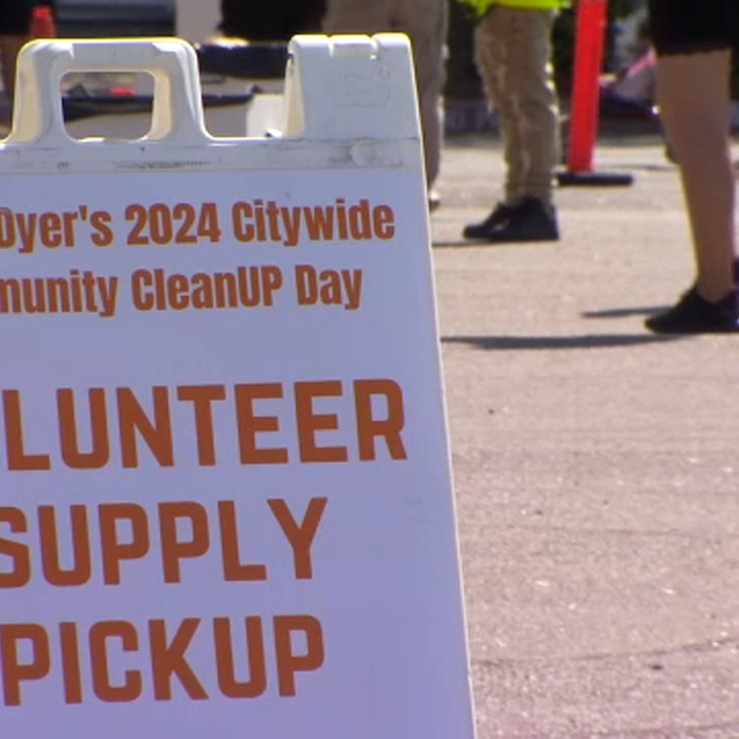 Holmes Playground Area Cleanup 2
