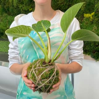 Kokedama Class 1