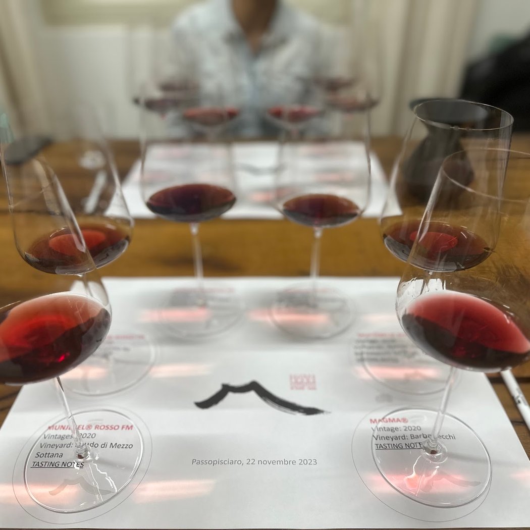 Az. Agr. Frank Cornelissen - Cantina/Cellar 1