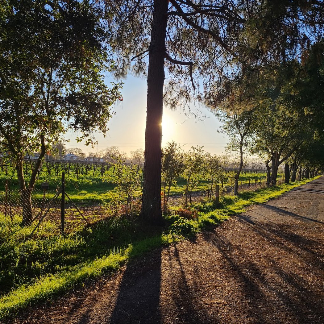 Santa rosa creek trail 1