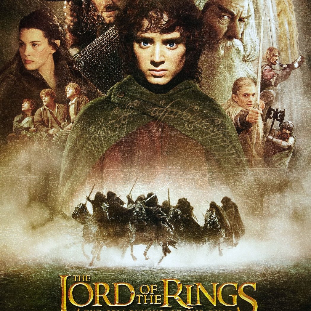The Lord of the Rings: The Fellowship of the Ring 1