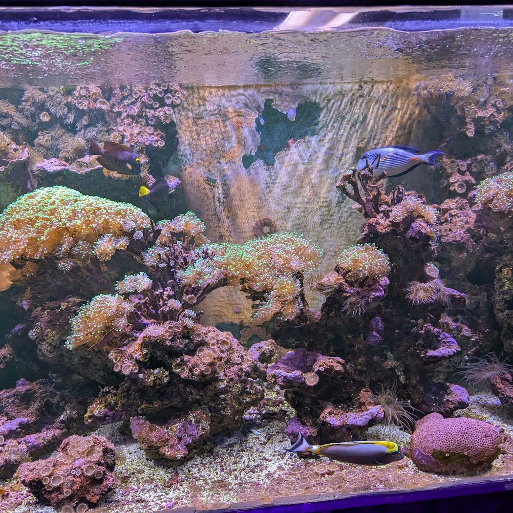 Sea Life Aquarium Experience 4