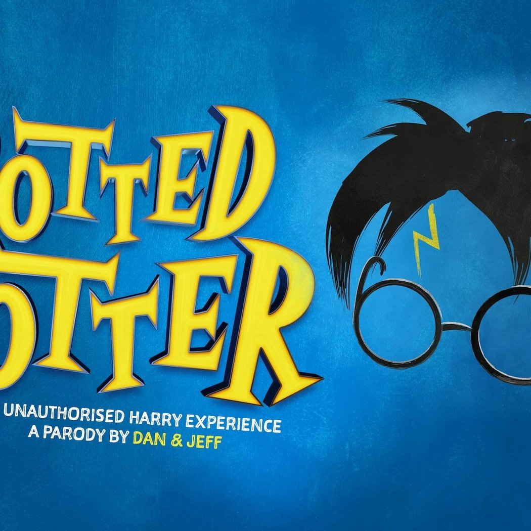Potted Potter - The Unauthorized Harry Experience 1